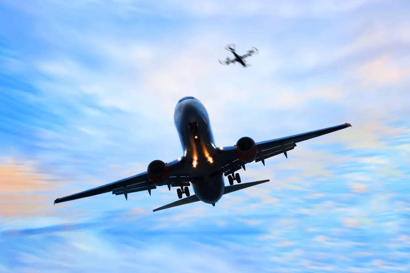 Drone and aeroplane
